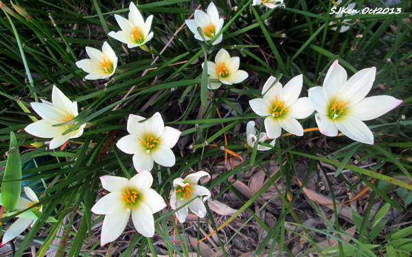 cm20131019___cd29085b6e22fa83efac7f02682