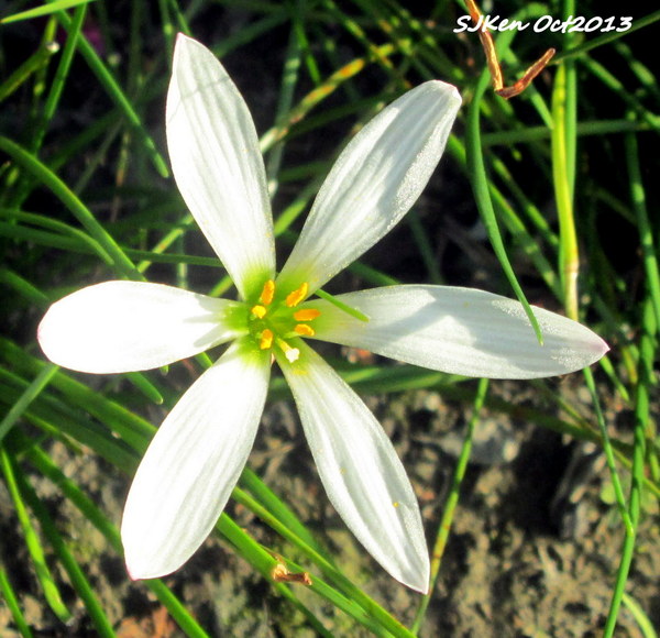 cm20131019___8b7015a18116bc3c2b4f051598b