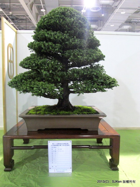 cm20131018___b5c0aff517f6c20fa81b1b4fd1f