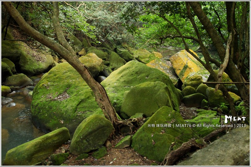 米特,味玩待敘部落格 © MEAT76|2013-02-14【台北 內湖 景點】捷運站旅遊玩樂遊記|大溝溪圓覺瀑布|茂密樹蔭竄涼意,平緩好走的綠色瀑布步道。(捷運大湖公園站)009.jpg