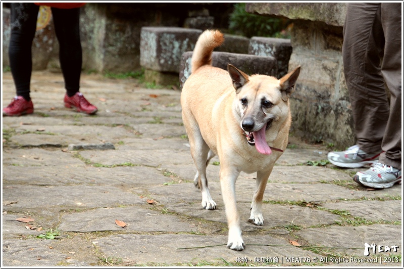 米特,味玩待敘部落格 © MEAT76|2013-02-14【台北 內湖 景點】捷運站旅遊玩樂遊記|大溝溪圓覺瀑布|茂密樹蔭竄涼意,平緩好走的綠色瀑布步道。(捷運大湖公園站)020.jpg