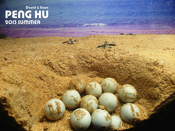 SAM_0528_副本_副本