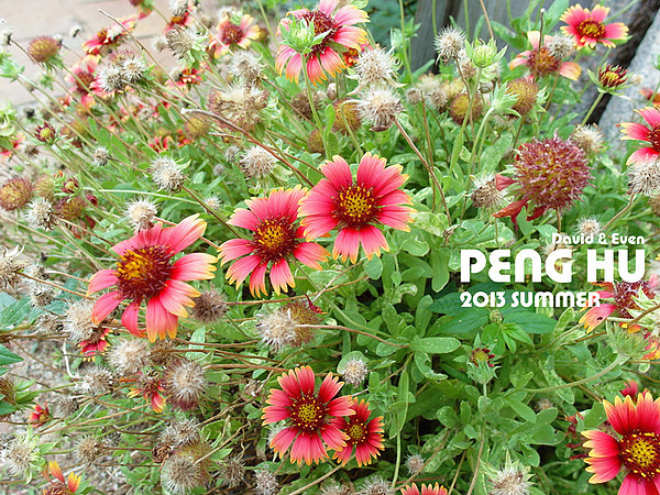 SAM_0584_副本_副本