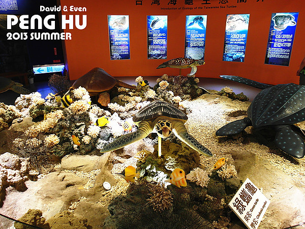 SAM_0535_副本_副本