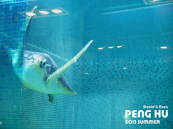 SAM_0551_副本_副本