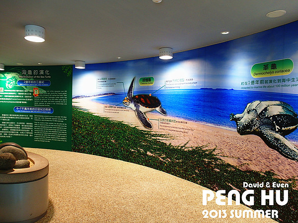 SAM_0524_副本_副本