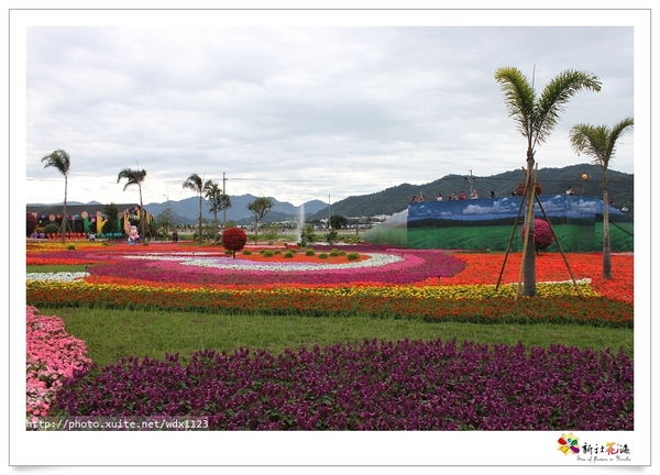 2013新社花海「花間 漫遊 樂悠遊」：2013新社花海✪搶先看✪少年pi的原版獨木舟太酷了~102.11.06