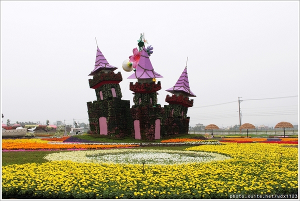 2013新社花海「花間 漫遊 樂悠遊」：2013新社花海✪搶先看✪少年pi的原版獨木舟太酷了~102.11.06