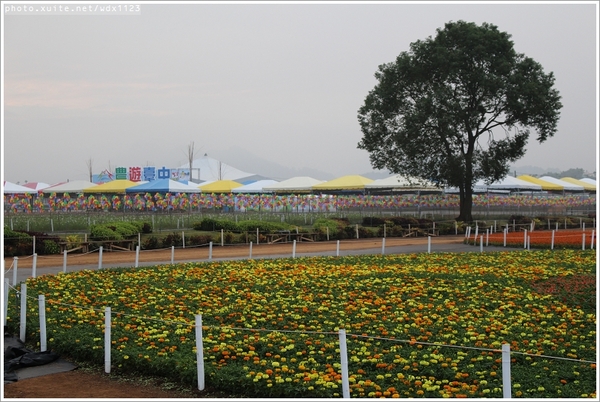 2013新社花海「花間 漫遊 樂悠遊」：2013新社花海✪搶先看✪少年pi的原版獨木舟太酷了~102.11.06