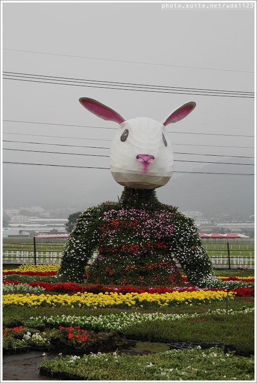 2013新社花海「花間 漫遊 樂悠遊」：2013新社花海✪搶先看✪少年pi的原版獨木舟太酷了~102.11.06