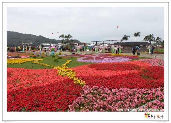 2013新社花海「花間 漫遊 樂悠遊」：2013新社花海✪搶先看✪少年pi的原版獨木舟太酷了~102.11.06