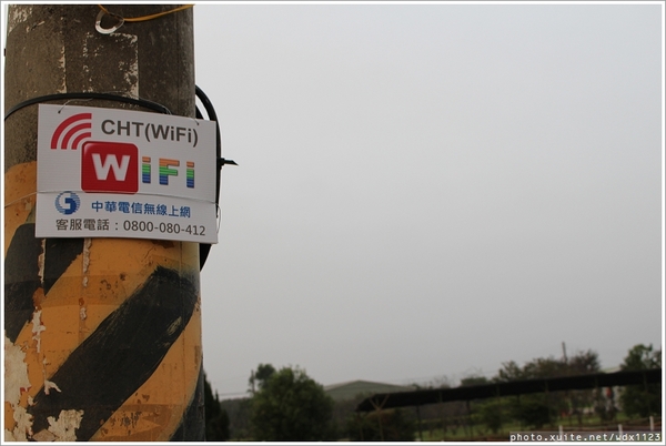 2013新社花海「花間 漫遊 樂悠遊」：2013新社花海✪搶先看✪少年pi的原版獨木舟太酷了~102.11.06