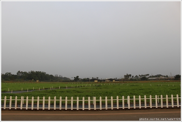 2013新社花海「花間 漫遊 樂悠遊」：2013新社花海✪搶先看✪少年pi的原版獨木舟太酷了~102.11.06