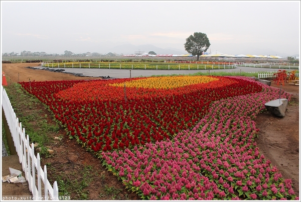 2013新社花海「花間 漫遊 樂悠遊」：2013新社花海✪搶先看✪少年pi的原版獨木舟太酷了~102.11.06