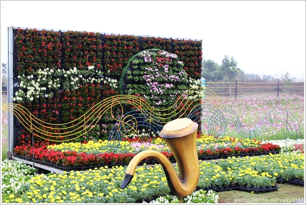 2013新社花海「花間 漫遊 樂悠遊」：2013新社花海✪搶先看✪少年pi的原版獨木舟太酷了~102.11.06