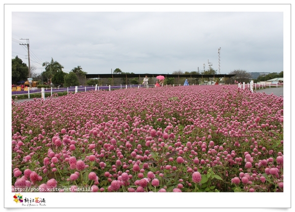 2013新社花海「花間 漫遊 樂悠遊」：2013新社花海✪搶先看✪少年pi的原版獨木舟太酷了~102.11.06