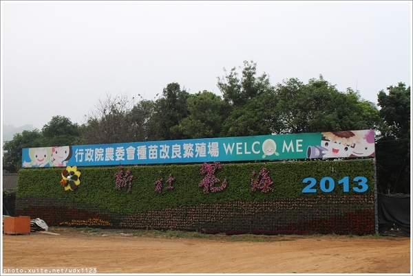 2013新社花海「花間 漫遊 樂悠遊」：2013新社花海✪搶先看✪少年pi的原版獨木舟太酷了~102.11.06