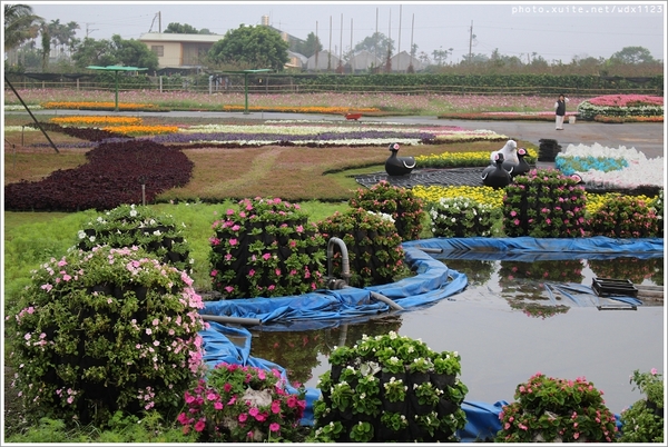 2013新社花海「花間 漫遊 樂悠遊」：2013新社花海✪搶先看✪少年pi的原版獨木舟太酷了~102.11.06