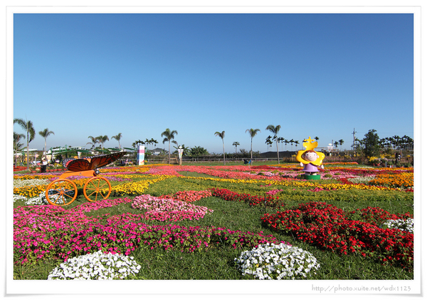 2013新社花海「花間 漫遊 樂悠遊」：2013新社花海✪搶先看✪少年pi的原版獨木舟太酷了~102.11.06