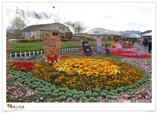 2013新社花海「花間 漫遊 樂悠遊」：2013新社花海✪搶先看✪少年pi的原版獨木舟太酷了~102.11.06