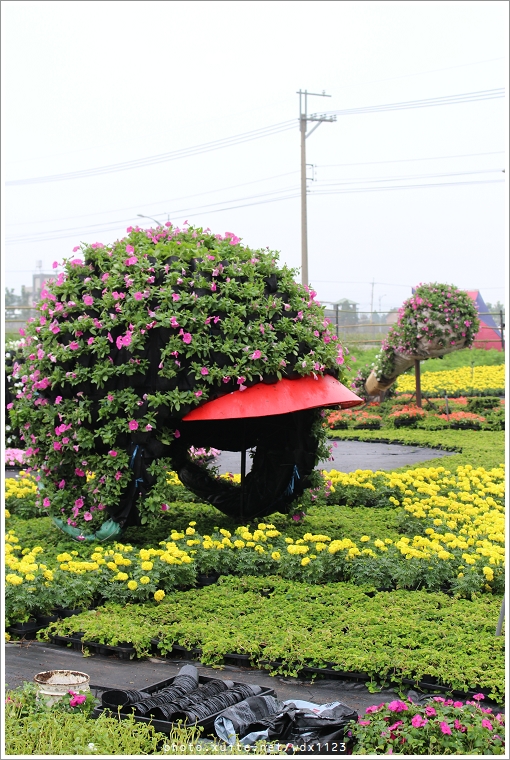 2013新社花海「花間 漫遊 樂悠遊」：2013新社花海✪搶先看✪少年pi的原版獨木舟太酷了~102.11.06