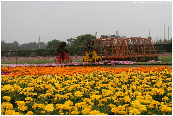 2013新社花海「花間 漫遊 樂悠遊」：2013新社花海✪搶先看✪少年pi的原版獨木舟太酷了~102.11.06