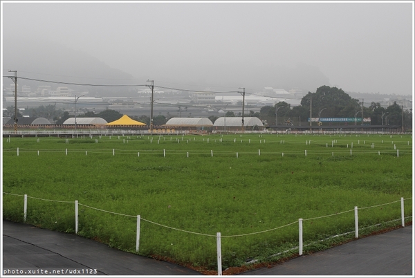 2013新社花海「花間 漫遊 樂悠遊」：2013新社花海✪搶先看✪少年pi的原版獨木舟太酷了~102.11.06