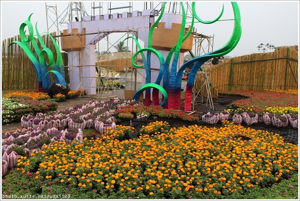 2013新社花海「花間 漫遊 樂悠遊」：2013新社花海✪搶先看✪少年pi的原版獨木舟太酷了~102.11.06