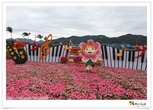 2013新社花海「花間 漫遊 樂悠遊」：2013新社花海✪搶先看✪少年pi的原版獨木舟太酷了~102.11.06