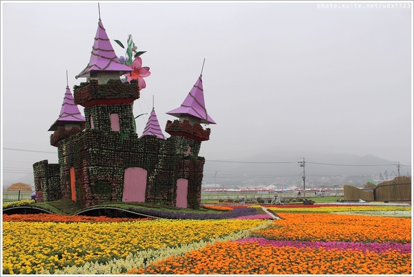 2013新社花海「花間 漫遊 樂悠遊」：2013新社花海✪搶先看✪少年pi的原版獨木舟太酷了~102.11.06