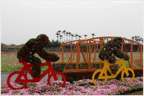 2013新社花海「花間 漫遊 樂悠遊」：2013新社花海✪搶先看✪少年pi的原版獨木舟太酷了~102.11.06