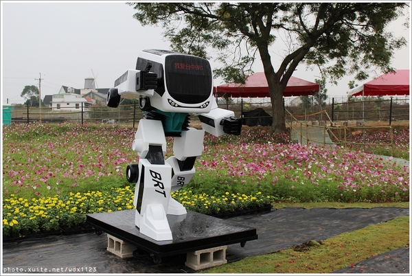 2013新社花海「花間 漫遊 樂悠遊」：2013新社花海✪搶先看✪少年pi的原版獨木舟太酷了~102.11.06