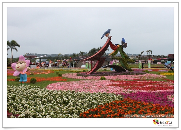 2013新社花海「花間 漫遊 樂悠遊」：2013新社花海✪搶先看✪少年pi的原版獨木舟太酷了~102.11.06