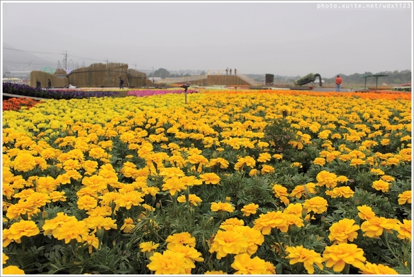 2013新社花海「花間 漫遊 樂悠遊」：2013新社花海✪搶先看✪少年pi的原版獨木舟太酷了~102.11.06