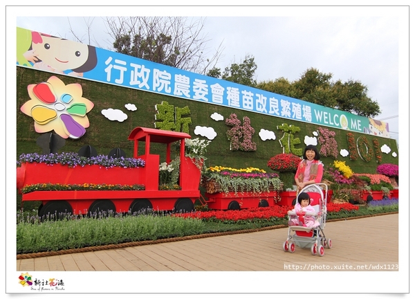 2013新社花海「花間 漫遊 樂悠遊」：2013新社花海✪搶先看✪少年pi的原版獨木舟太酷了~102.11.06