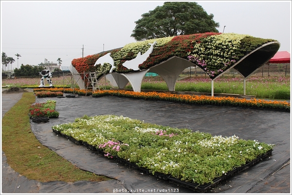 2013新社花海「花間 漫遊 樂悠遊」：2013新社花海✪搶先看✪少年pi的原版獨木舟太酷了~102.11.06