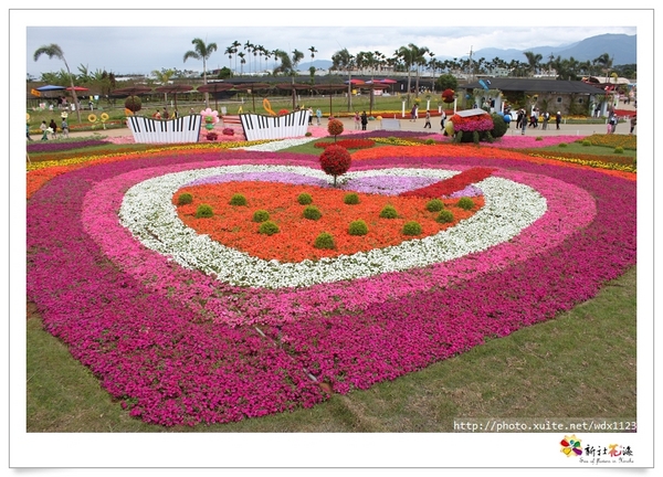 2013新社花海「花間 漫遊 樂悠遊」：2013新社花海✪搶先看✪少年pi的原版獨木舟太酷了~102.11.06