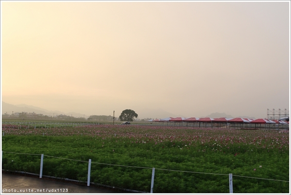 2013新社花海「花間 漫遊 樂悠遊」：2013新社花海✪搶先看✪少年pi的原版獨木舟太酷了~102.11.06