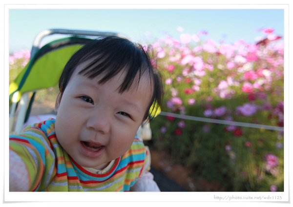 2013新社花海「花間 漫遊 樂悠遊」：2013新社花海✪搶先看✪少年pi的原版獨木舟太酷了~102.11.06