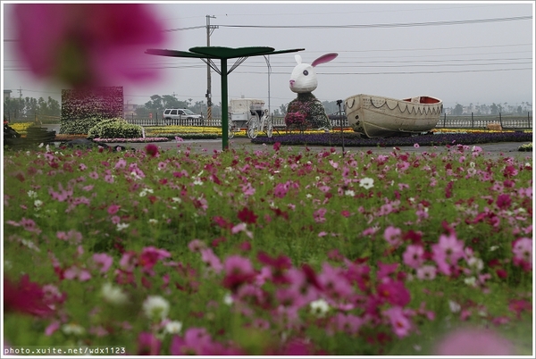 2013新社花海「花間 漫遊 樂悠遊」：2013新社花海✪搶先看✪少年pi的原版獨木舟太酷了~102.11.06