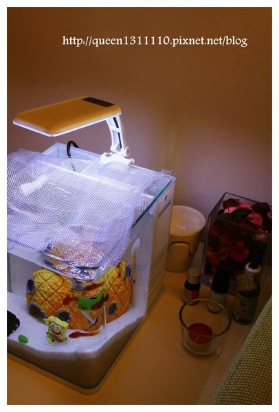 cm20131018___64507af3f941e1934475d2ea5b3