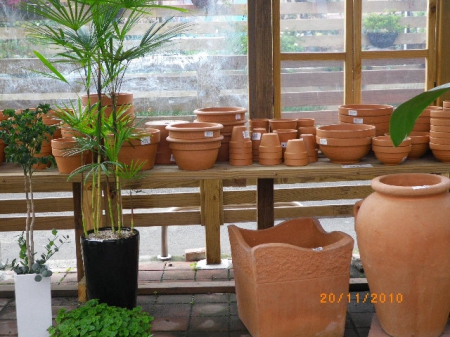 愛買花坊：鬧中取靜喝咖啡賞花情