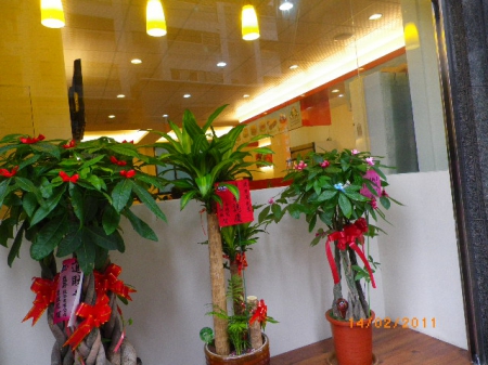 美而美(美而美(桃園吉昌店))：情人節離情依依˙漢堡餐敘