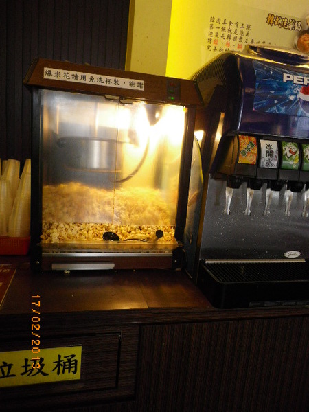 麻豆子健康湯鍋(中原店)：麻豆子健康湯鍋