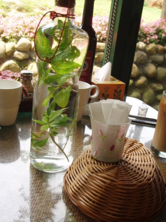 春天農場-春天香草廚房：椒麻雞腿排～拜託再辣一點