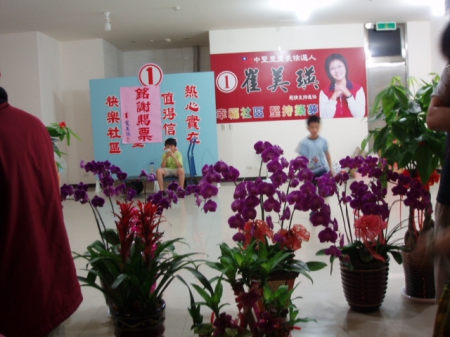 中聖里{跳蚤市場}：跳蚤市場[地方選舉競選總部義賣盆栽]