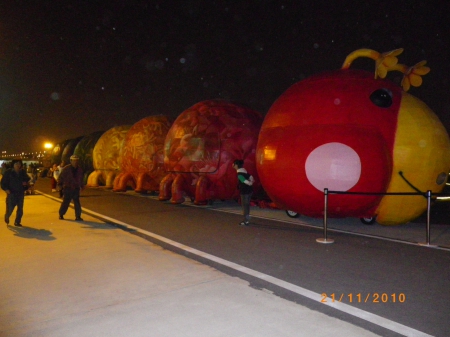 2010台北國際花卉博覽會(大佳園區):花博入夜景觀更迷人