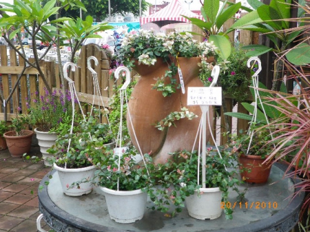 愛買花坊：鬧中取靜喝咖啡賞花情