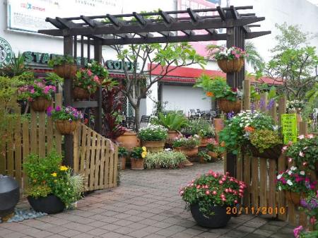 愛買花坊：鬧中取靜喝咖啡賞花情
