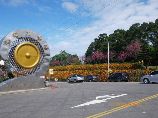 銅鑼鄉爆仗花：爆仗花迎新春˙銅鑼工業區好壯觀